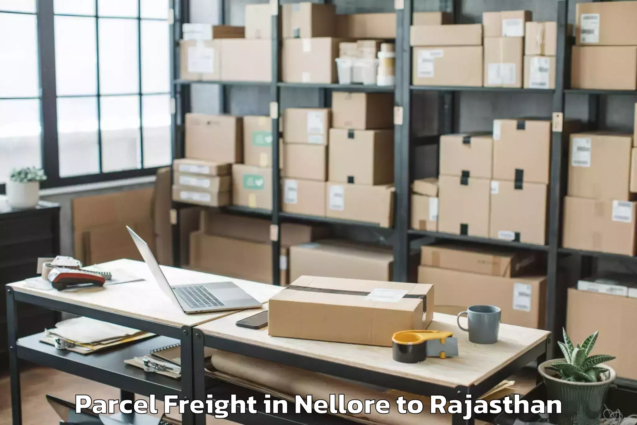 Reliable Nellore to Maharaja Ganga Singh Universit Parcel Freight